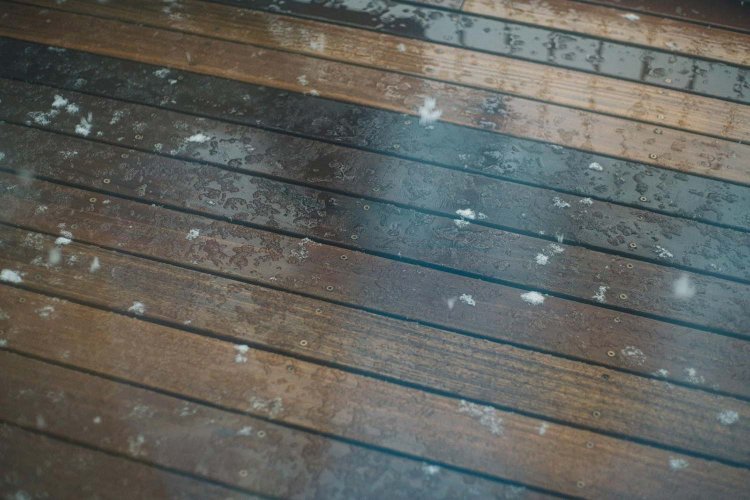 SONY α7RⅢ＋CONTAX Carl Zeiss PlanarT* 50mm F1.4で撮影。