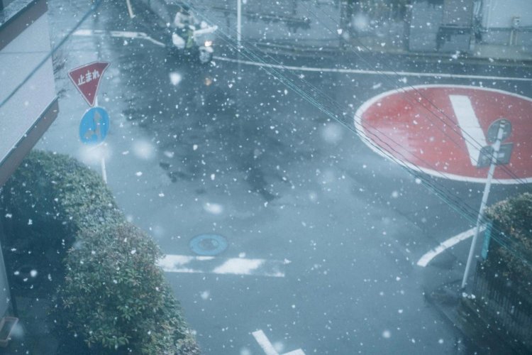 SONY α7RⅢ＋CONTAX Carl Zeiss PlanarT* 50mm F1.4で撮影。