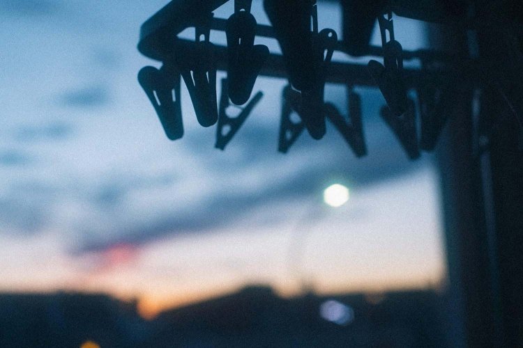 SONY α7RⅢ＋CONTAX Carl Zeiss PlanarT* 50mm F1.4で撮影。