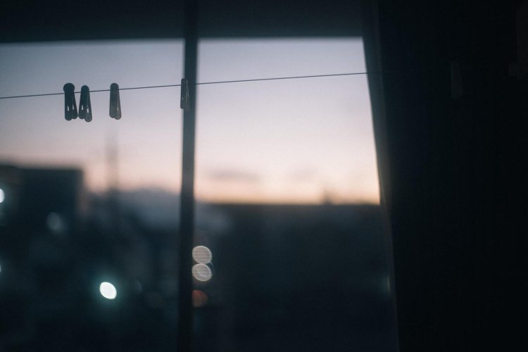 SONY α7RⅢ＋CONTAX Carl Zeiss PlanarT* 50mm F1.4で撮影。