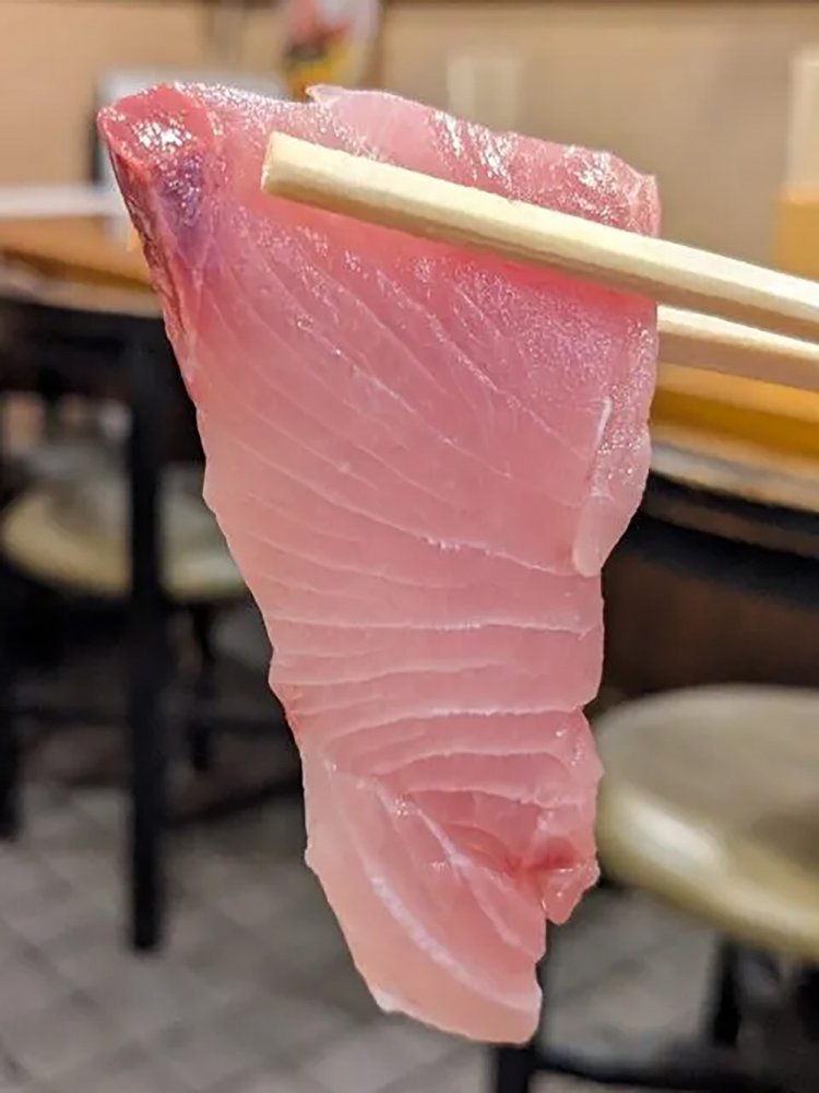 【酒場ナビ】大井町「野焼」