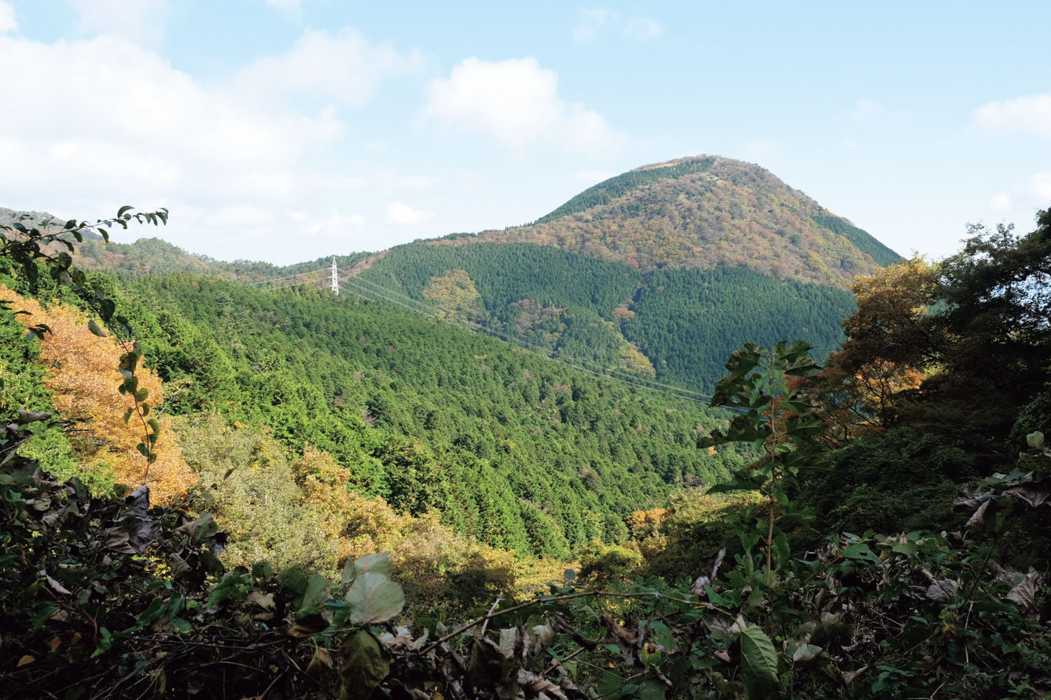 足柄万葉公園の先、矢倉岳へ向かう途中から見えた矢倉岳山頂。高く遠くに見えるが、それほど大変な登山ではない。