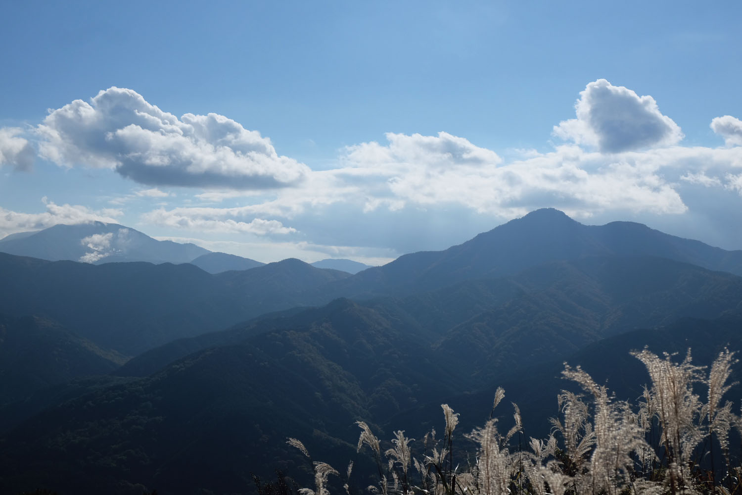矢倉岳山頂から南西方面の眺望。右の小高い山頂は金時山、左端のどっしりした山は明神ヶ岳。