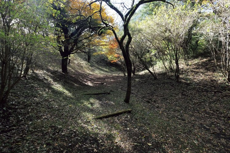 城の最北部の五の曲輪。