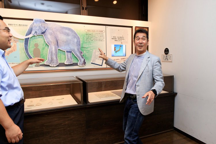 原宿の地中からナウマンゾウの化石が出てくるなんて、発見した人も驚いただろうね。