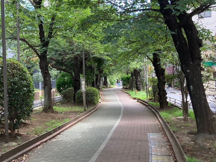 都電が走っていたころ。たまにそんな昔の写真を見たりしますよね。