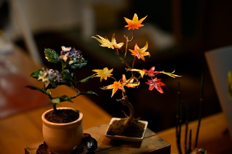 革盆栽が艶やか。