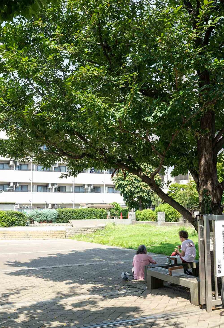 クレアモール沿いに現れるクレアパークは、昔も今も地元の憩いの場。老いも若いも集う。