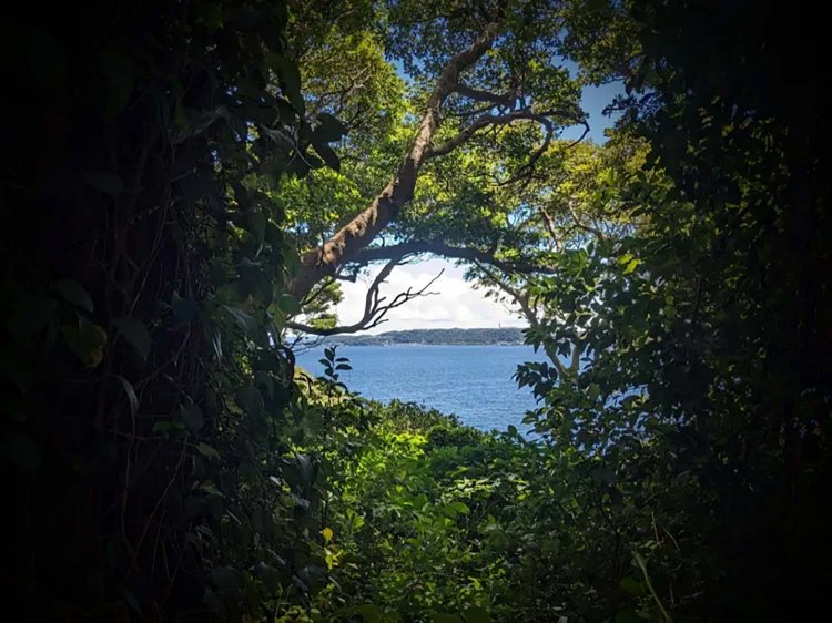 【酒場ナビ】「天国」への招待