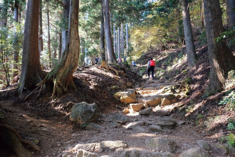 16丁目の分岐から表参道を下った（下社近く）。