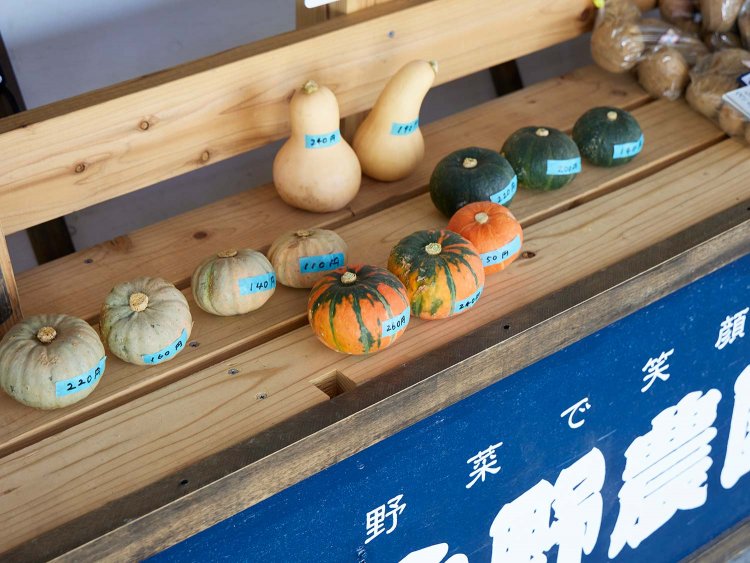 直売所で無農薬野菜も買えます。