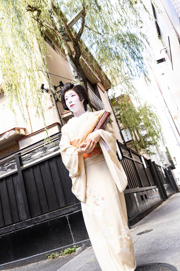 黒塀に柳が並ぶ風情あふれる中町を歩けば、芸者さんの姿も。写真はお座敷に向かうすずめさん。「八王子花街には他にもたくさん魅力があります」