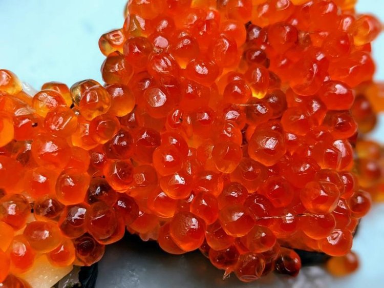 ルビーのように美しいイクラ。