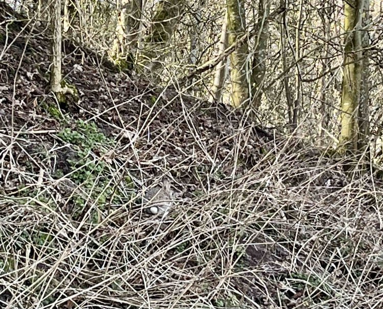 さて、どこにいるでしょう？