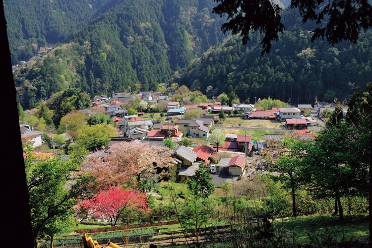 峰からの帰りに右側が開けた場所があった。棚沢の家々が見える。古里の分校に通っていた子どもたちは帰りには米や醤油を担いで帰ったという。