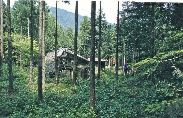 1995年、まだ倒壊していない家が4、5軒あった。台所用品やレコードプレーヤーなどもあった。2009年に来たときは写真の傾いた家が1軒だけ、そして今はもう家は見当たらなかった。