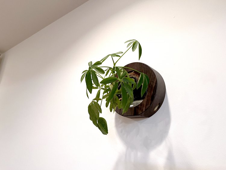 店内には花や緑を欠かさない。