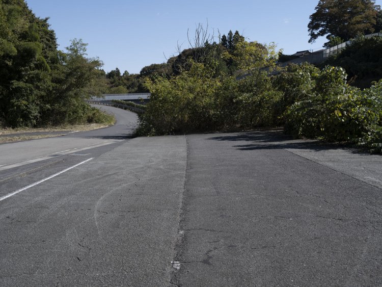 現在線との合流地点はアスファルトがプツっと途切れて低木の林となる。左手の生活道路はうまいように中央道沿いの脇道へと繋がっている。