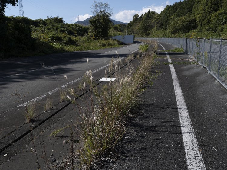 フェンスから旧下り線をみる。草が生えてきて月日の長さを感じた。立っている位置が中央分離帯だった。奥の囲いは資材置き場だろうか。