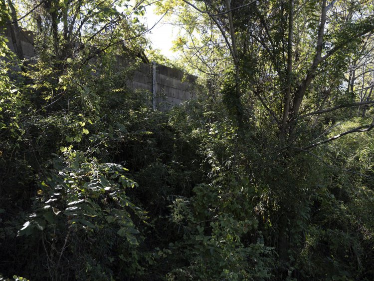 脇道からみた盛土と防音壁。法面は森になりつつあった。