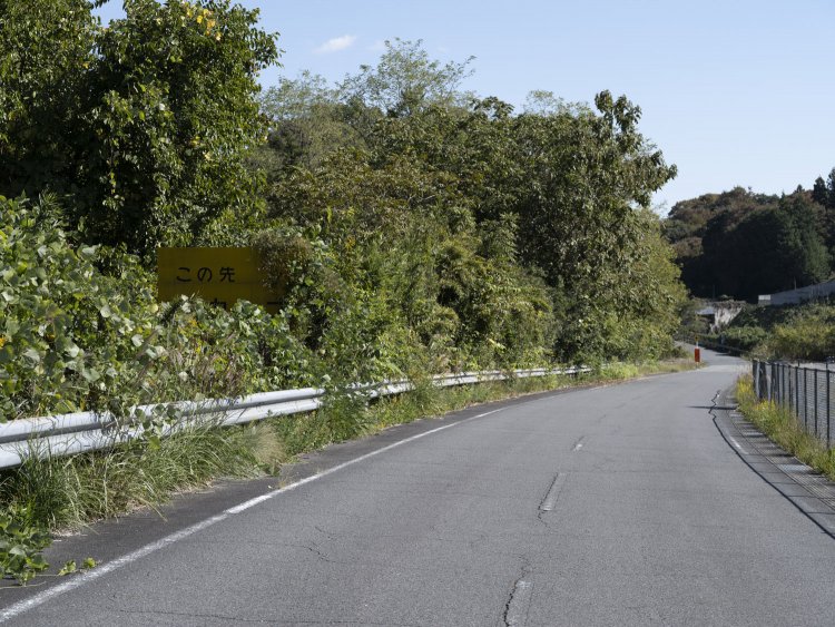 進んでいくと路肩に黄色い看板が残っていた。『この先急カーブ』。ただし草木に埋もれて読みづらい。