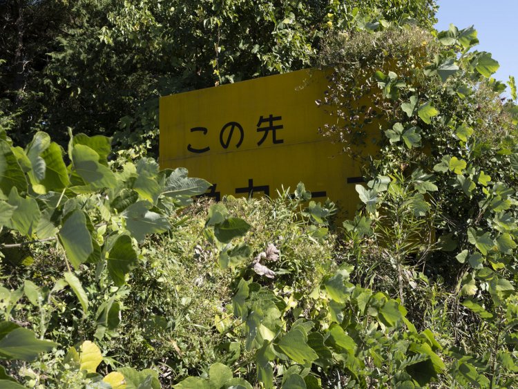 幾多の車の注意喚起になっていた看板も、遺棄されてから22年の歳月によって自然へ没しようとしていた。