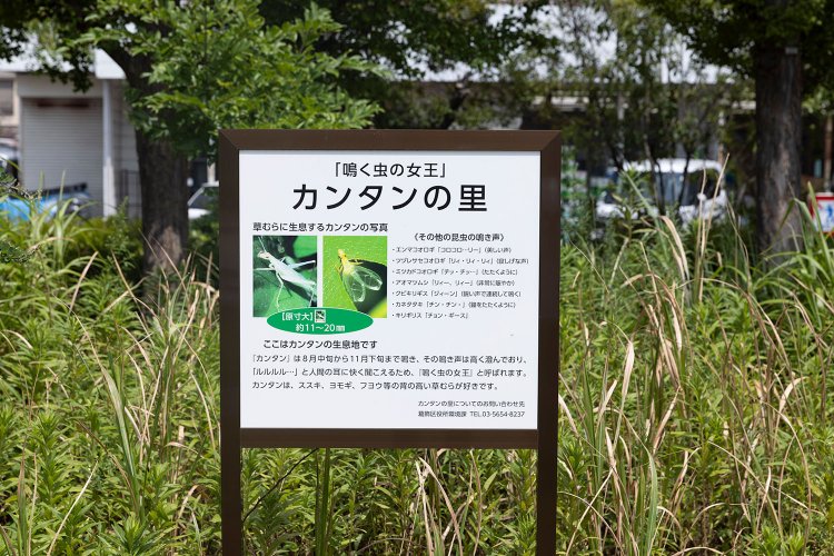 ファンキー公園9830