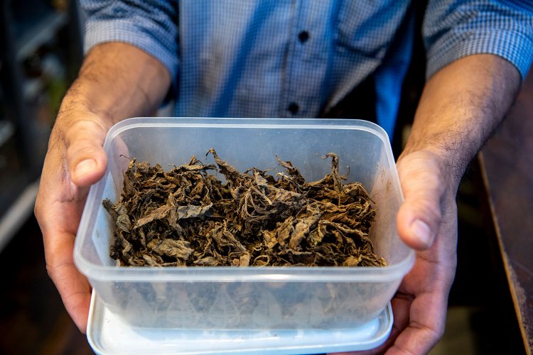 隠し味はアブロという乾燥野菜で出汁に使う。