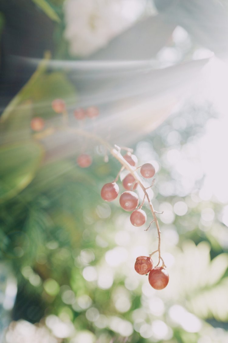 【カメラガールズ】LeicaQ(typ116)をスナップ撮影で使ってみた！