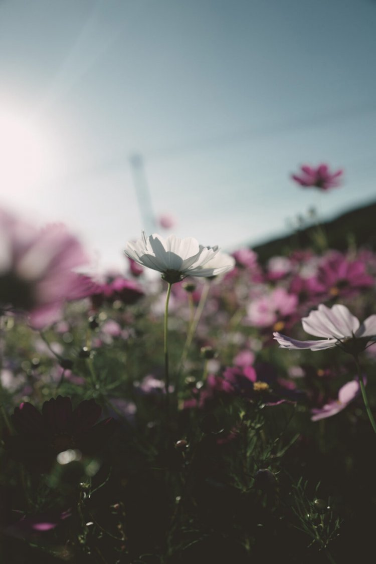 ちなみにこのくらい寄れます！