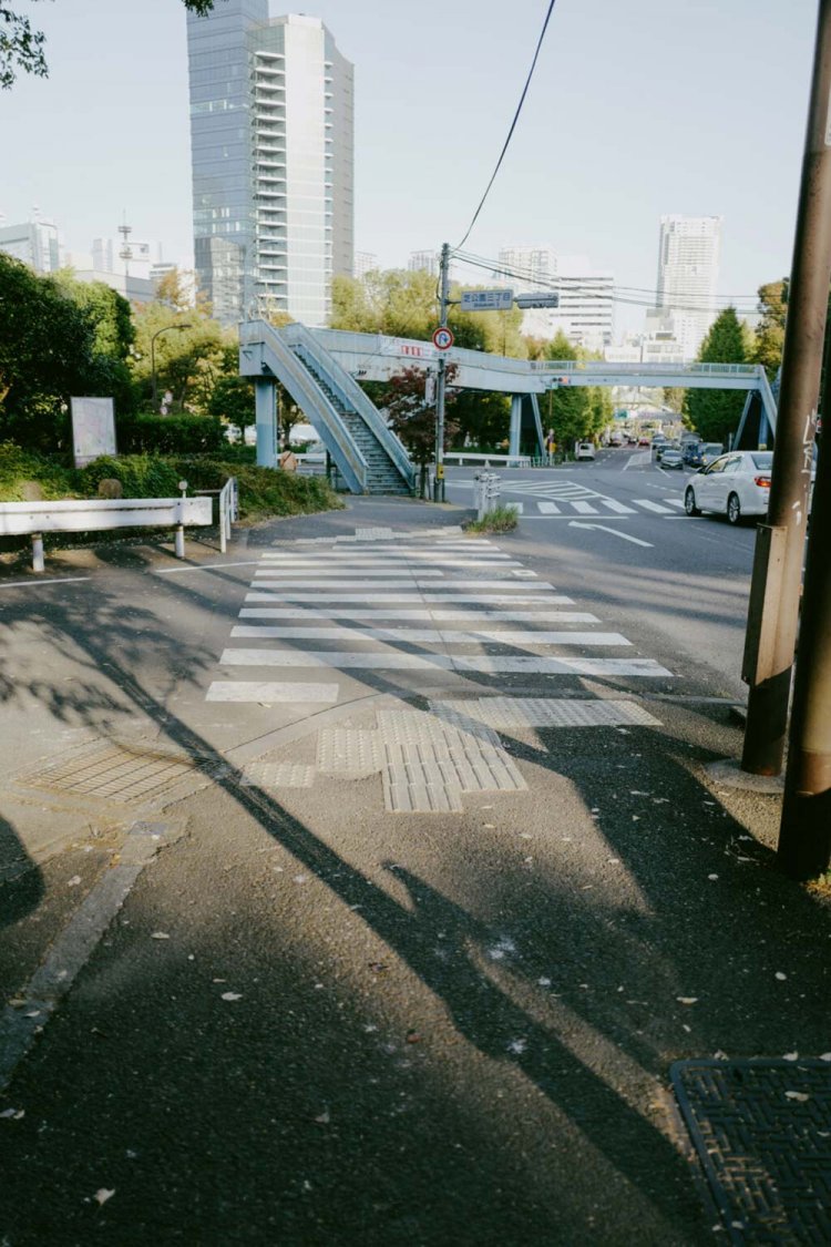 なんでもない道も、いい感じに。