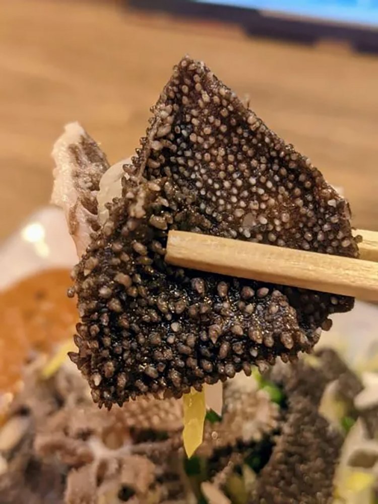 【酒場ナビ】田無「だるまさん」の白モツタレに再会！