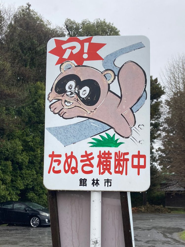 本当にタヌキが横断するかどうかは定かではない。