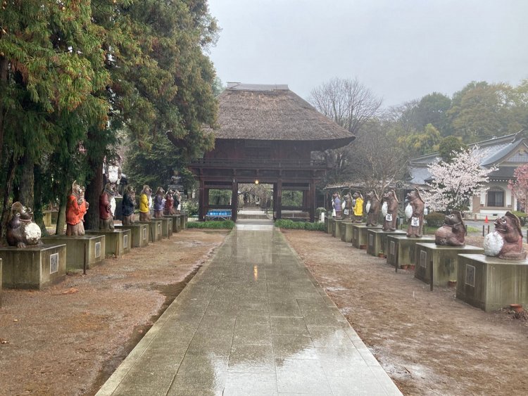 参道の両側には、さまざまな格好をしたタヌキが並ぶ。