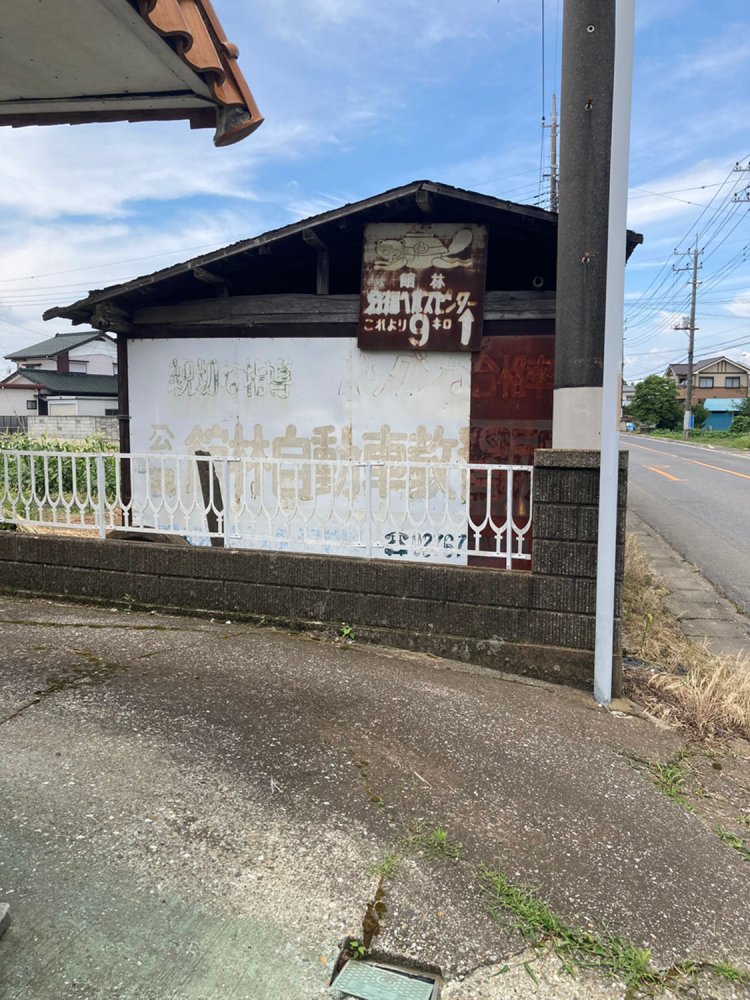 あ、あれは……