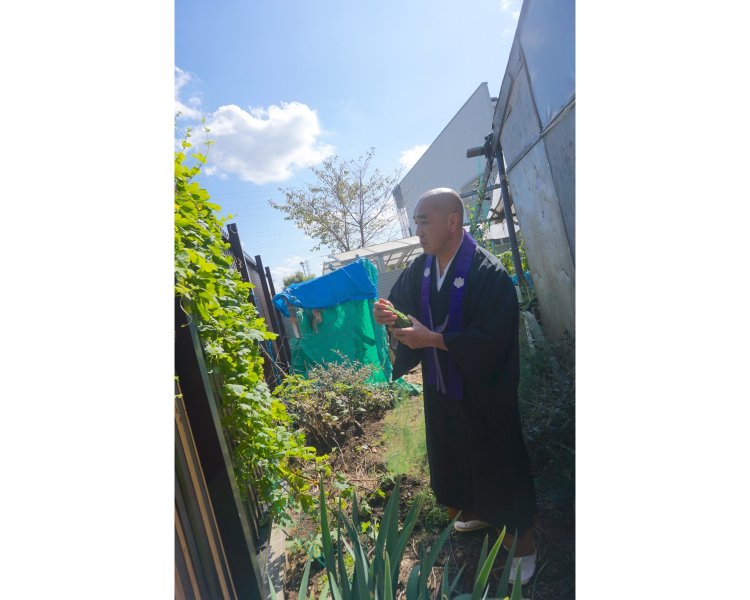 家庭菜園ならぬ寺庭菜園が趣味だという増田さん。観音堂の脇にはゴーヤが青々と実っていた。