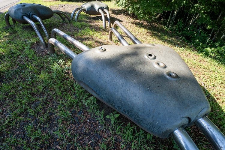 昆虫を思わせる作品が地をはうように置かれた「FLORA・FAUNA」。