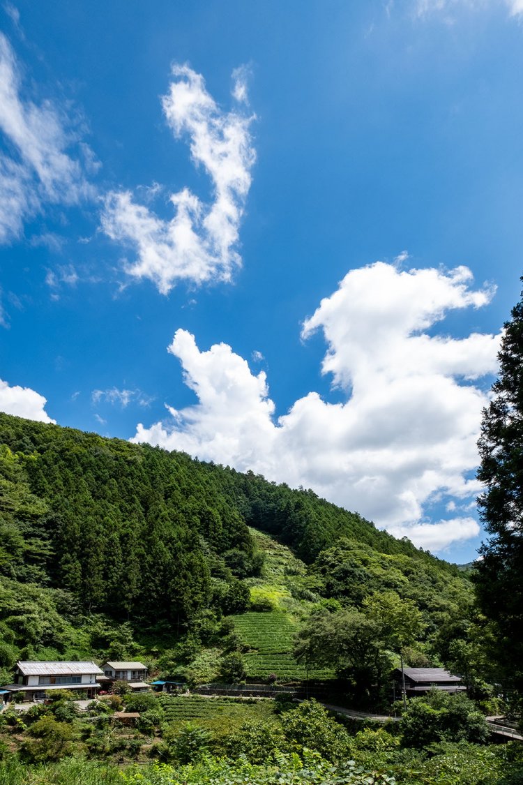 眼前に山並みが迫り、心安らぐのどかな風景が広がる。
