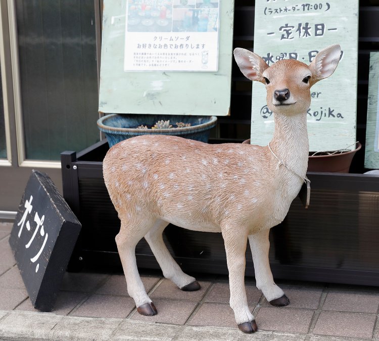 玄関先でお出迎え。店のあちこちに小鹿がいます。