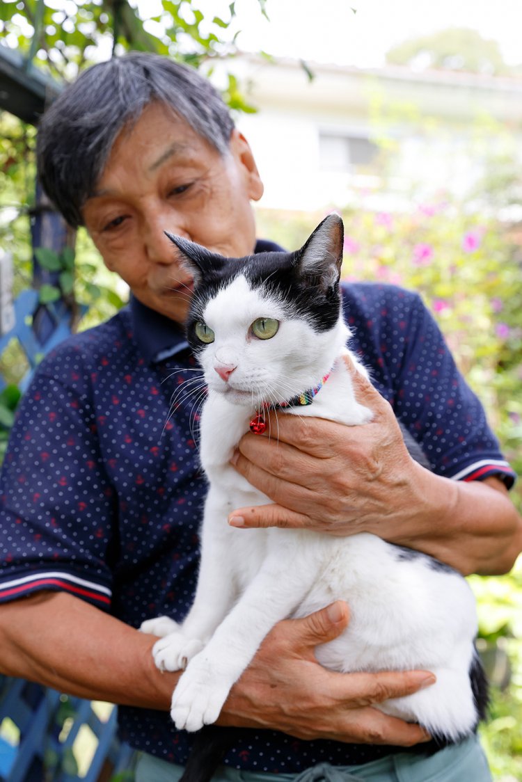 「気が向いたらお散歩します」by 看板猫のすずちゃん。