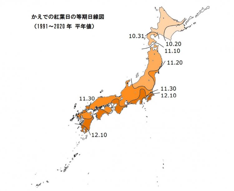 かえでの紅葉日の等期日線図 （1991～2020 年 平年値）。出典：気象庁