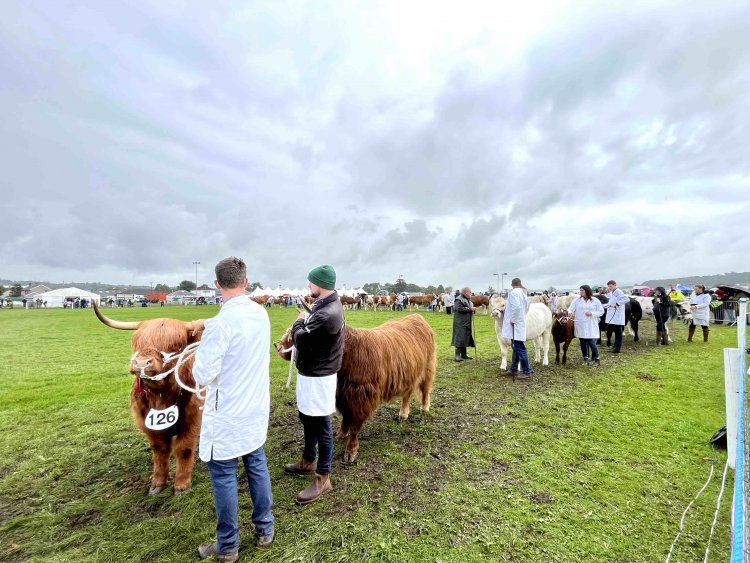 入賞したものたちのパレード。