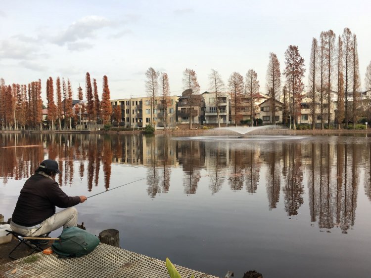 浦和にある別所沼公園。草だけじゃない、埼玉県には魚だっている……たぶん。