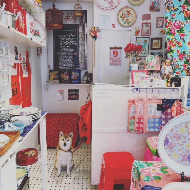 ご近所の人気者、看板犬アキナちゃん。名前の由来はドラマ「北の国から」。