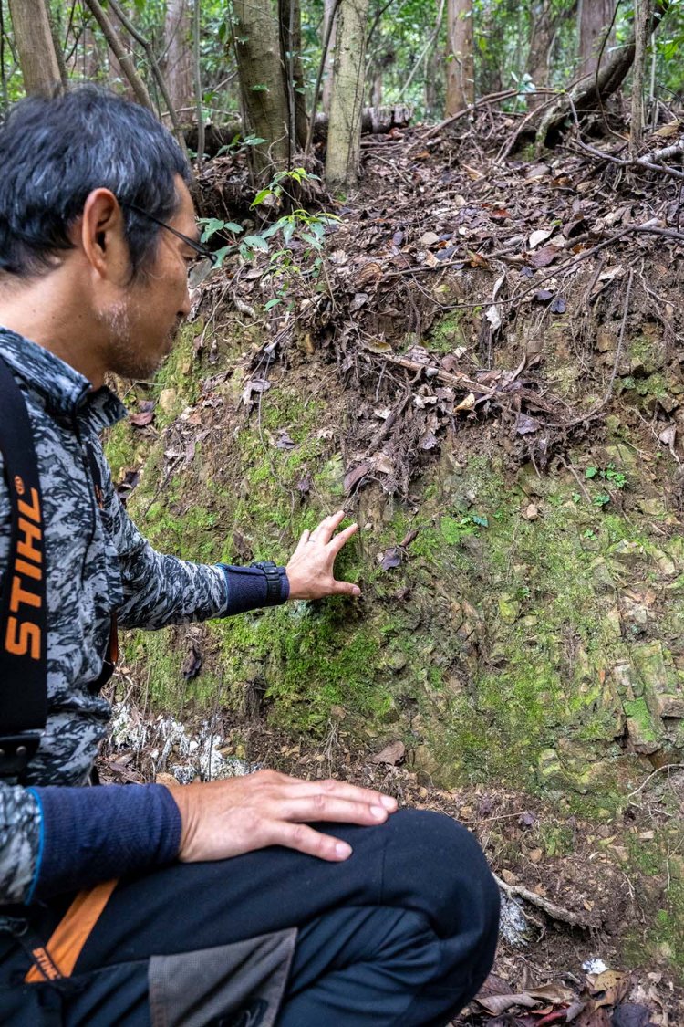 斜面を90度に整えると空気と水が通り、苔が生えてきて植物が育つようになるという。