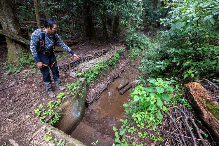 “森業”とはなにか？～八王子を拠点に「森と踊る」が実践する植えない林業と、生物多様性への取り組み