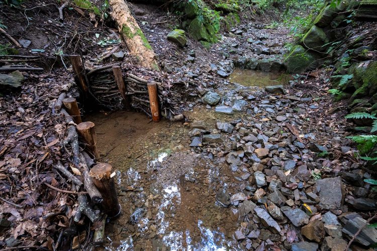 11GP17_20230927_0095