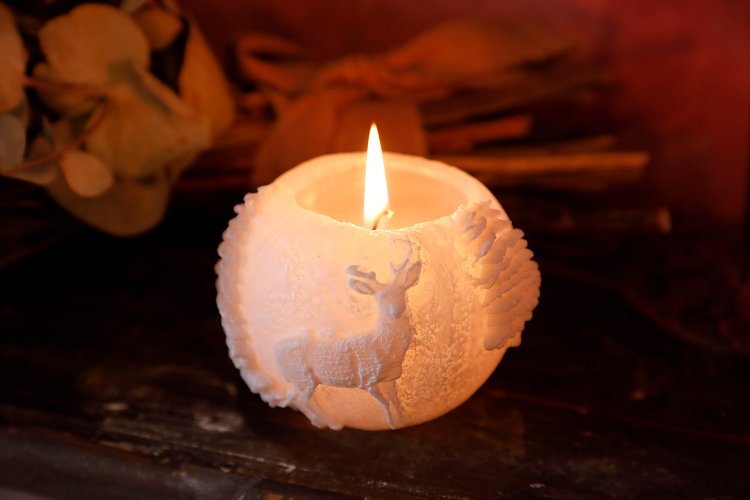 【散歩の達人】八王子さんぽ