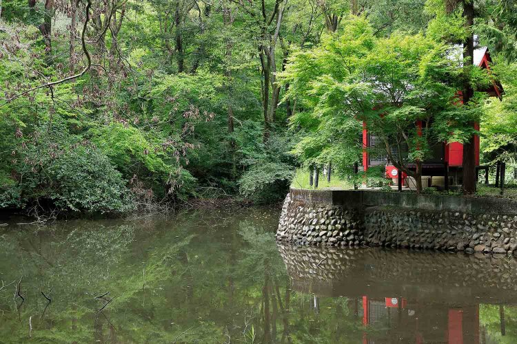 クヌギやナラの雑木林が茂る『都立小宮公園』。南には赤い社が目印の弁天池があり、隠れた聖域との噂も。