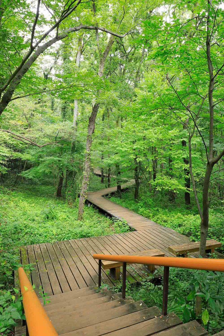 【散歩の達人】八王子さんぽ